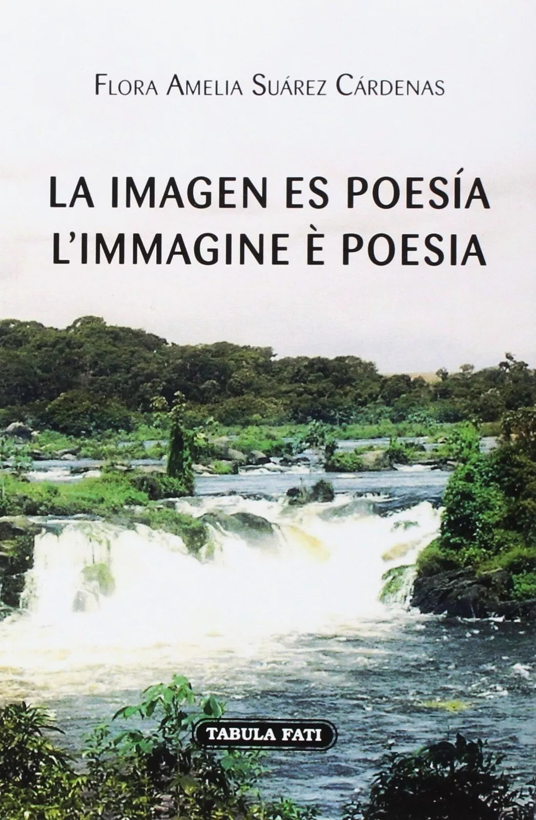 La imagen es poes a