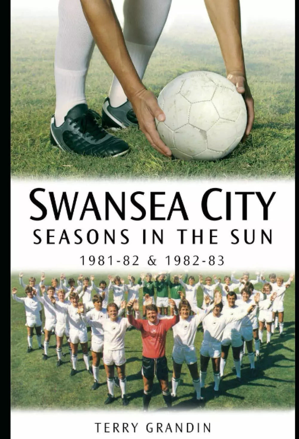 Swansea City