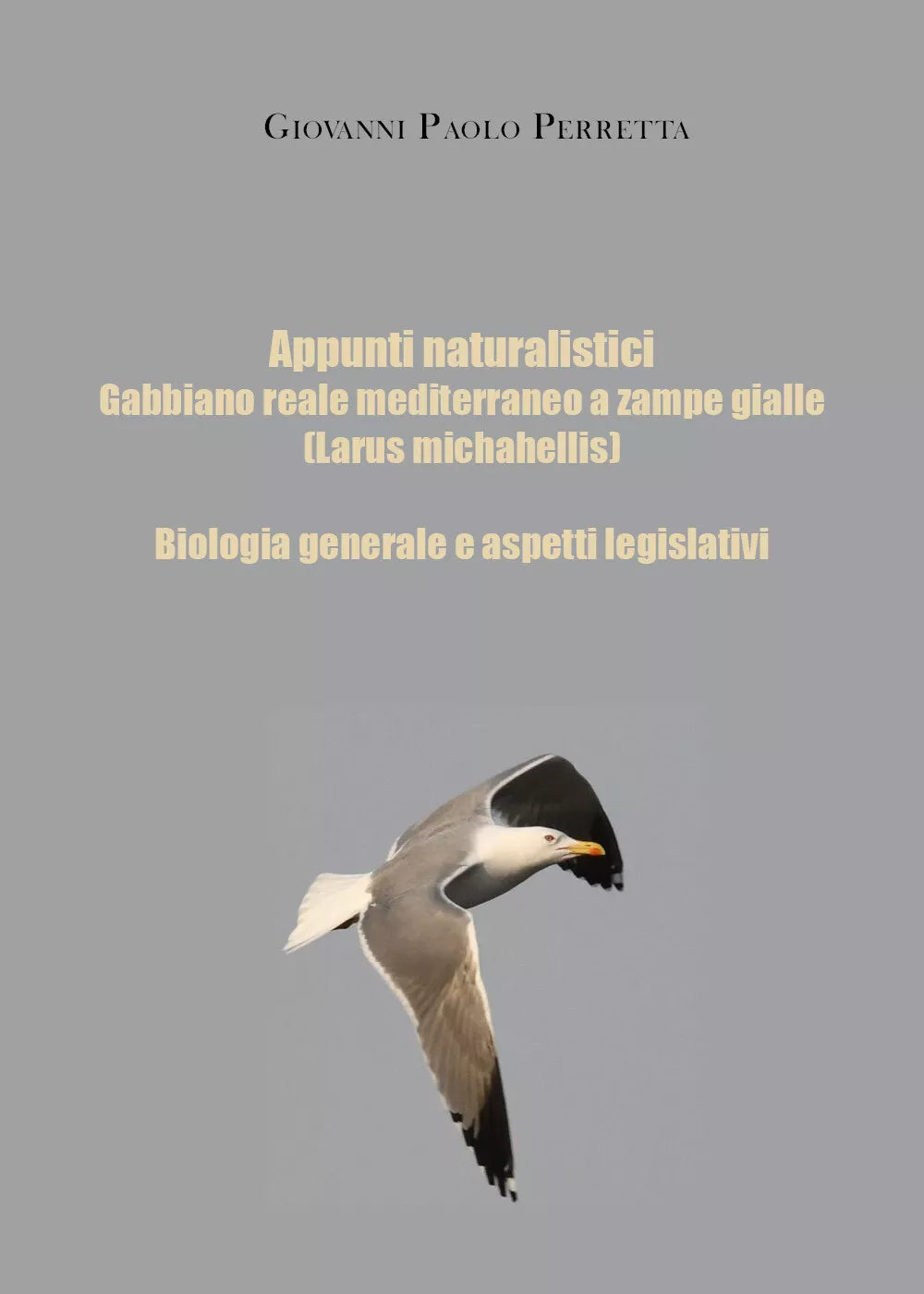 Appunti naturalistici. Gabbiano reale mediterraneo a zampe gialle Larus michahe