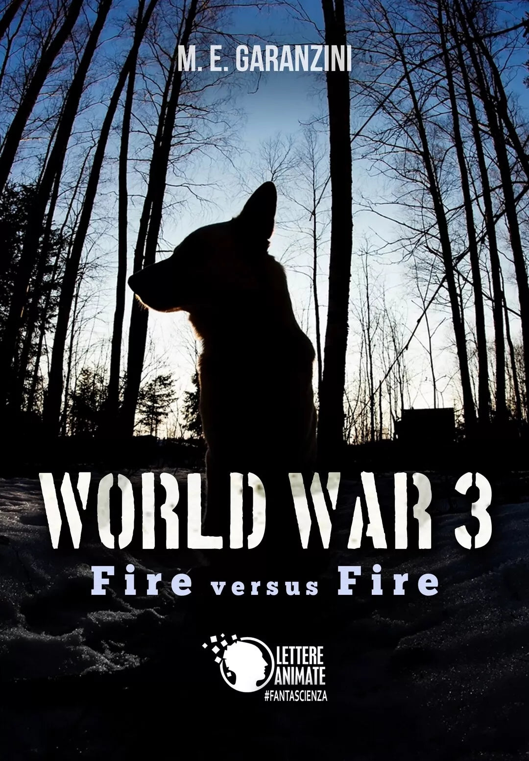 World War 3 - Fire versus Fire di M. E. Garanzini, 2017, Lettere Animate Edit