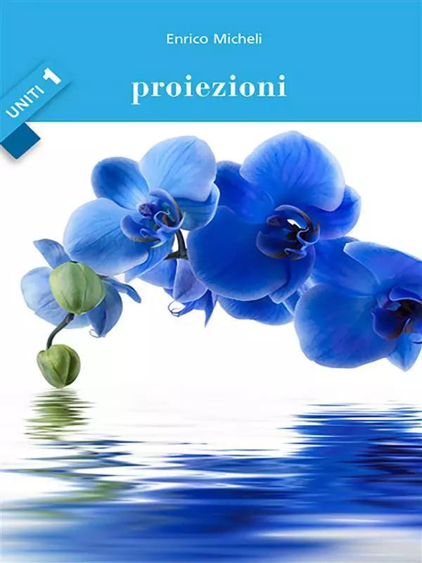 Proiezioni. Uniti di Enrico Micheli, 2016, Youcanprint