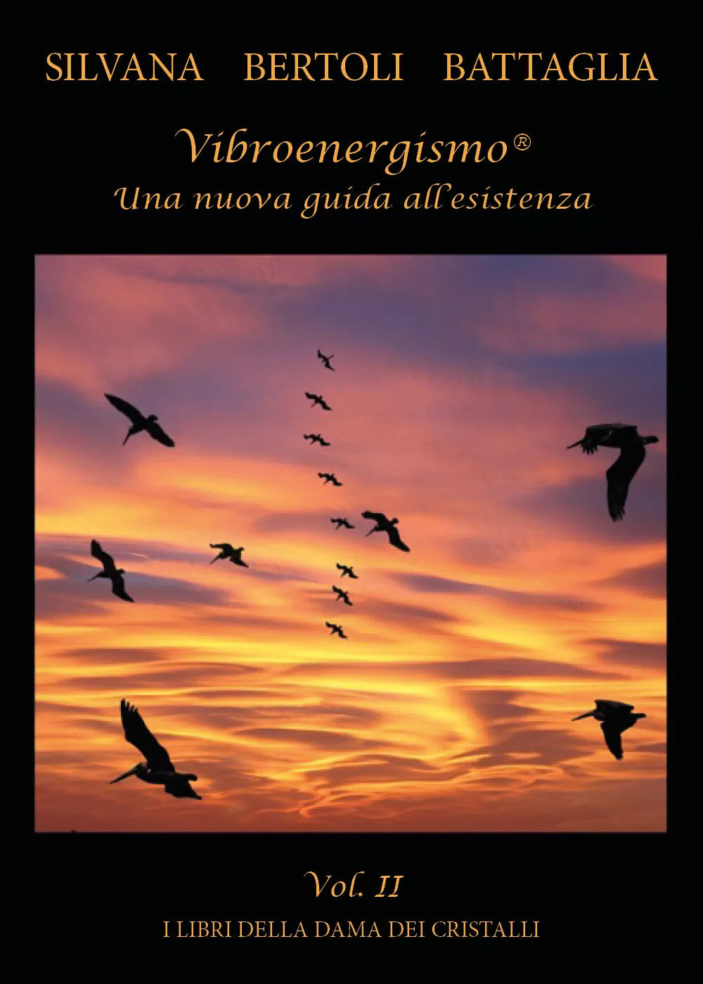 Vibroenergismo. Una nuova guida all’esistenza vol.2 di Silvana Bertoli Battaglia