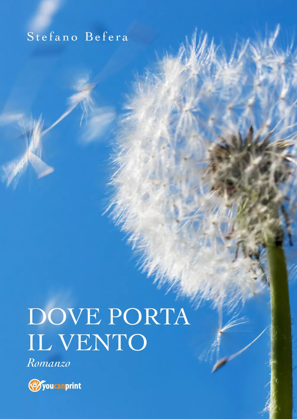 Dove porta il vento di Stefano Befera, 2019, Youcanprint