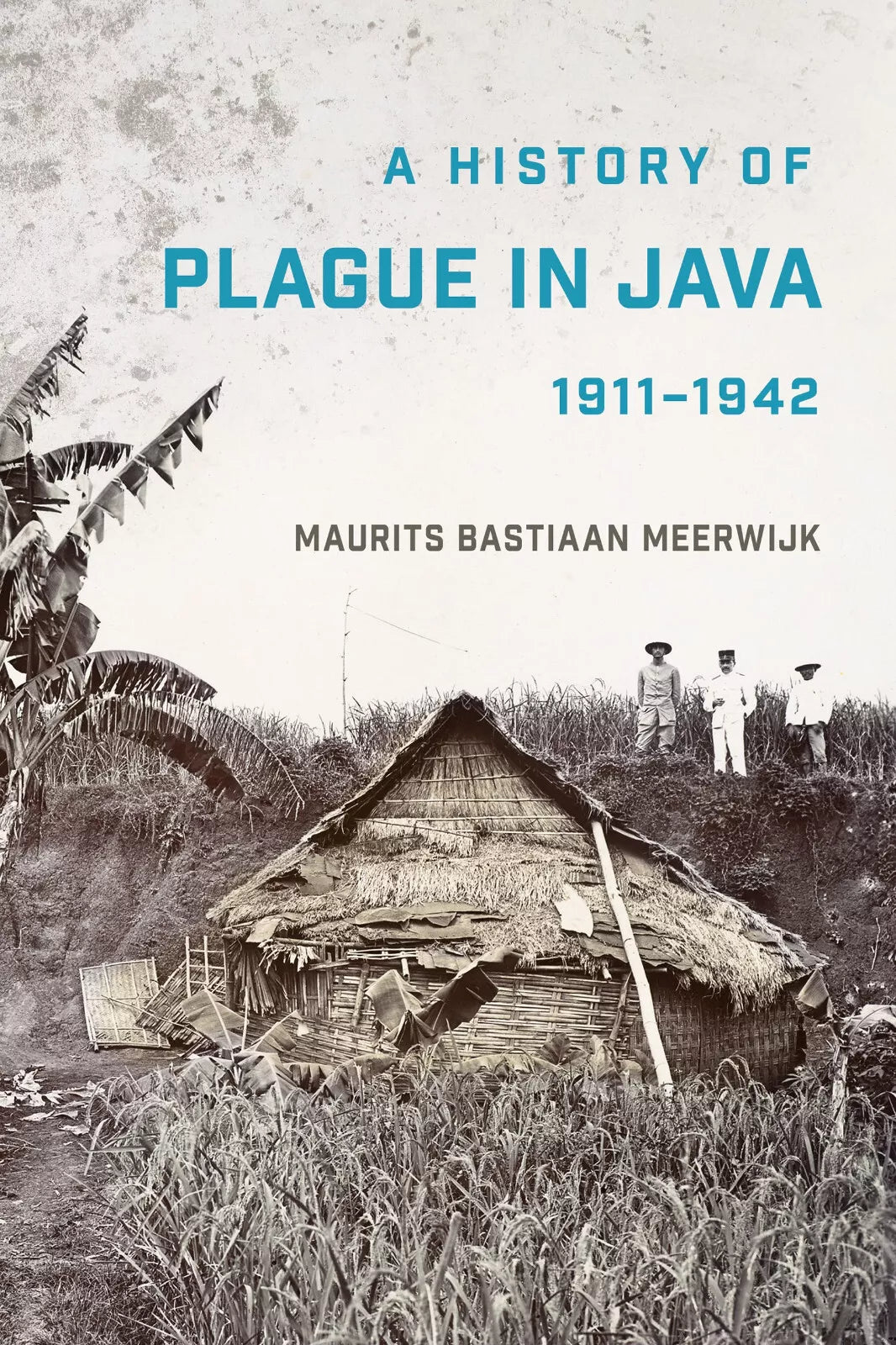 A History Of Plague In Java