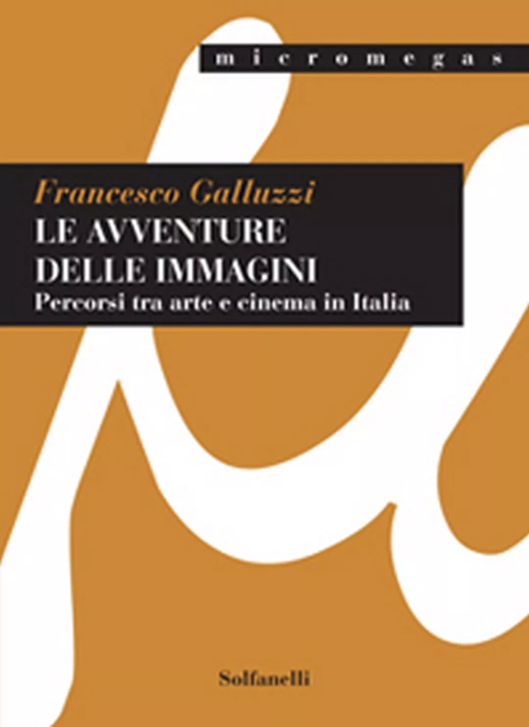LE AVVENTURE DELLE IMMAGINI Percorsi tra arte e cinema in Italia F. Galluzzi
