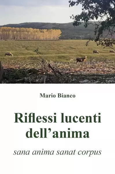 Riflessi lucenti dell anima