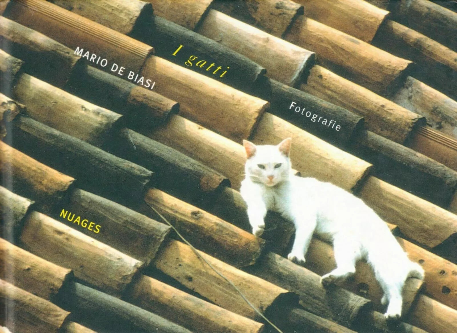 I gatti, fotografie di Mario De Biasi, 2006, Nuages