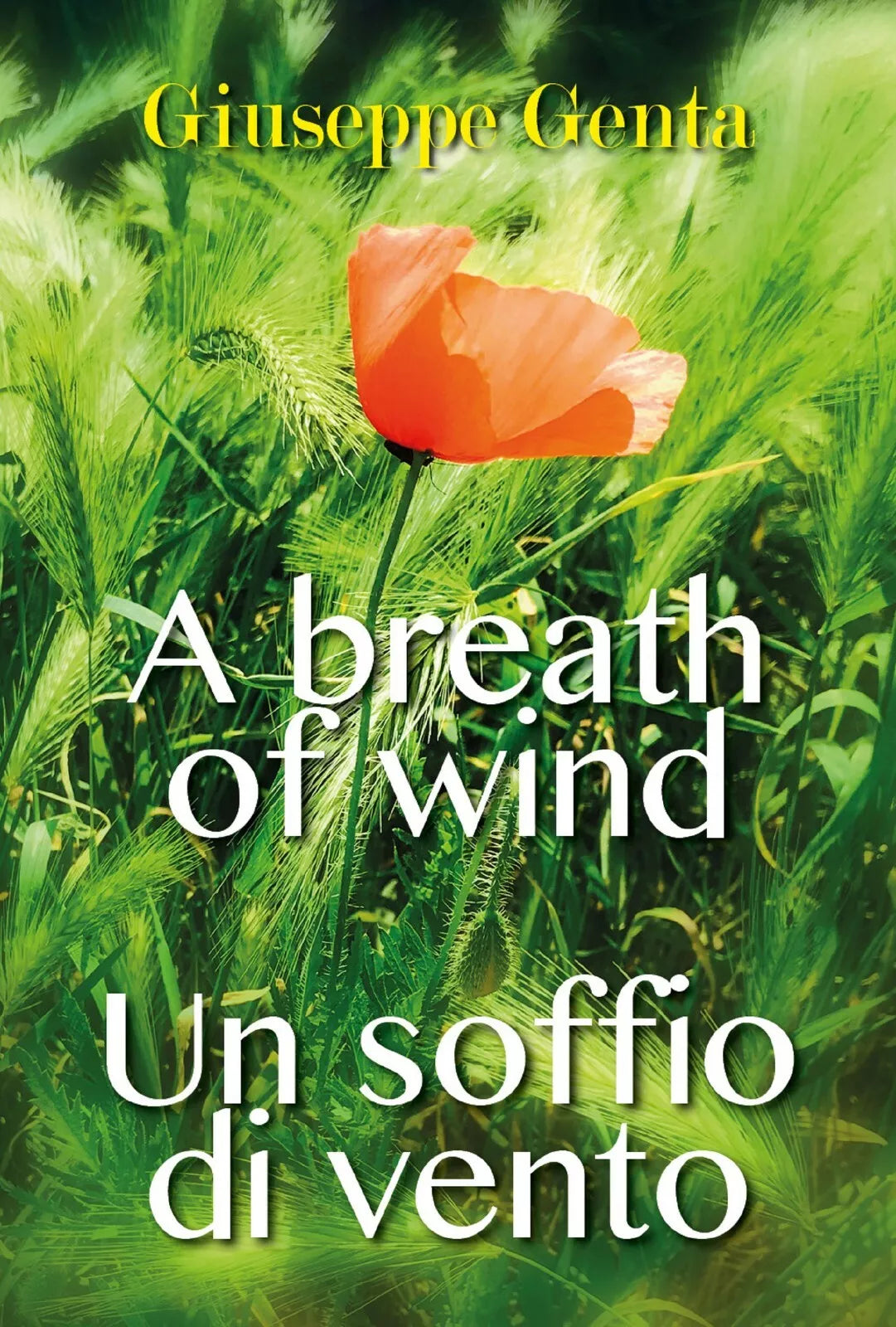 Un soffio di vento. A breath of wind di Giuseppe Genta, 2018, Youcanprint