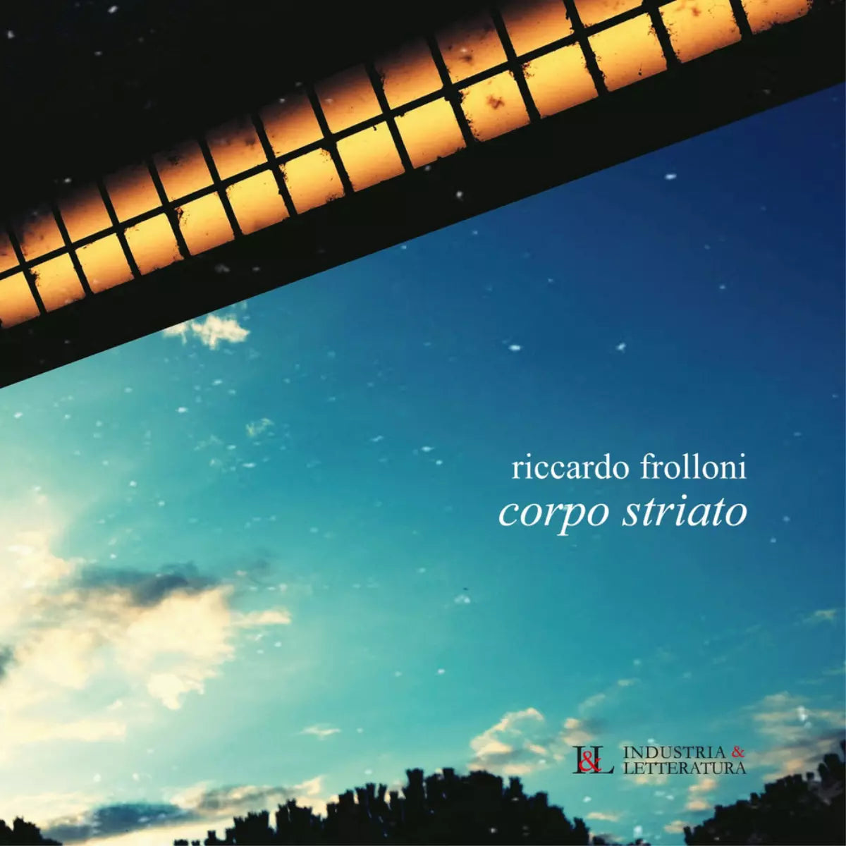 Corpo striato di Riccardo Frolloni