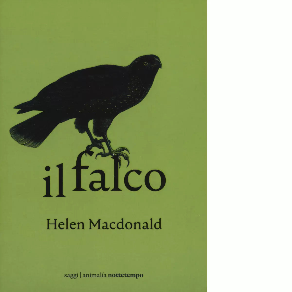 Il falco di Helen MacDonald