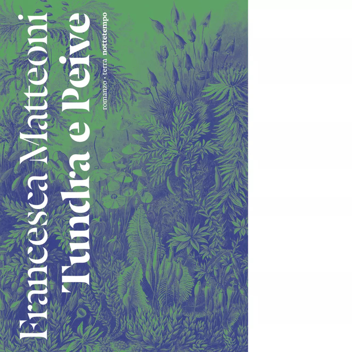 Tundra e Peive di Francesca Matteoni
