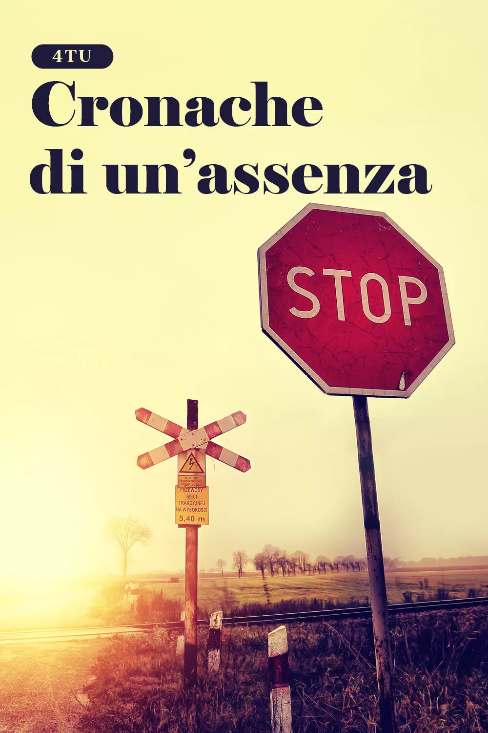 Cronache di un’assenza di 4tu, 2021, Youcanprint