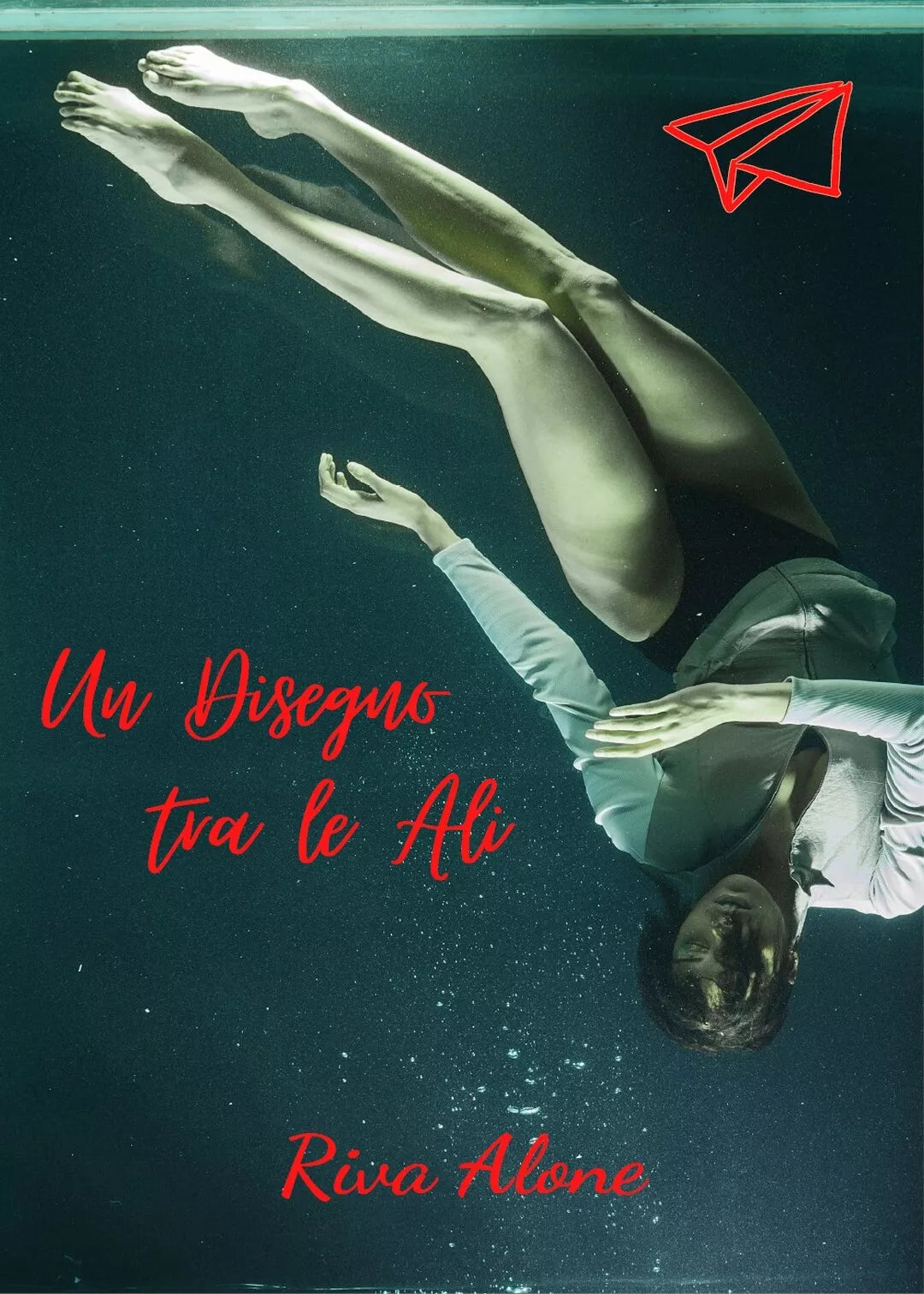 Un Disegno tra le Ali di Riva Alone, 2020, Youcanprint