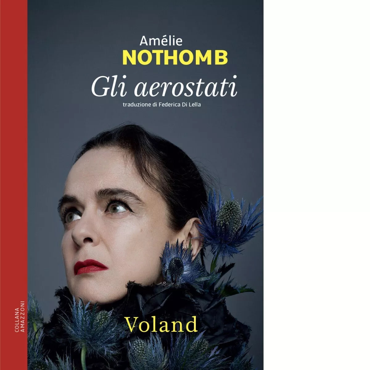 Gli aerostati di Am lie Nothomb