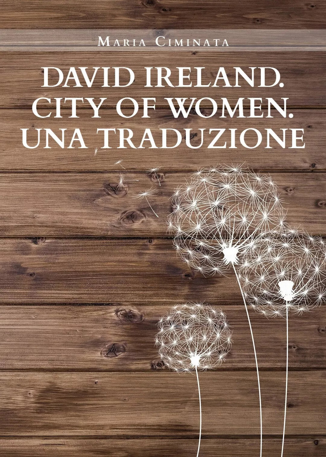 David Ireland. City of Women. Una traduzione, Maria Ciminata, 2020, Youcanprin