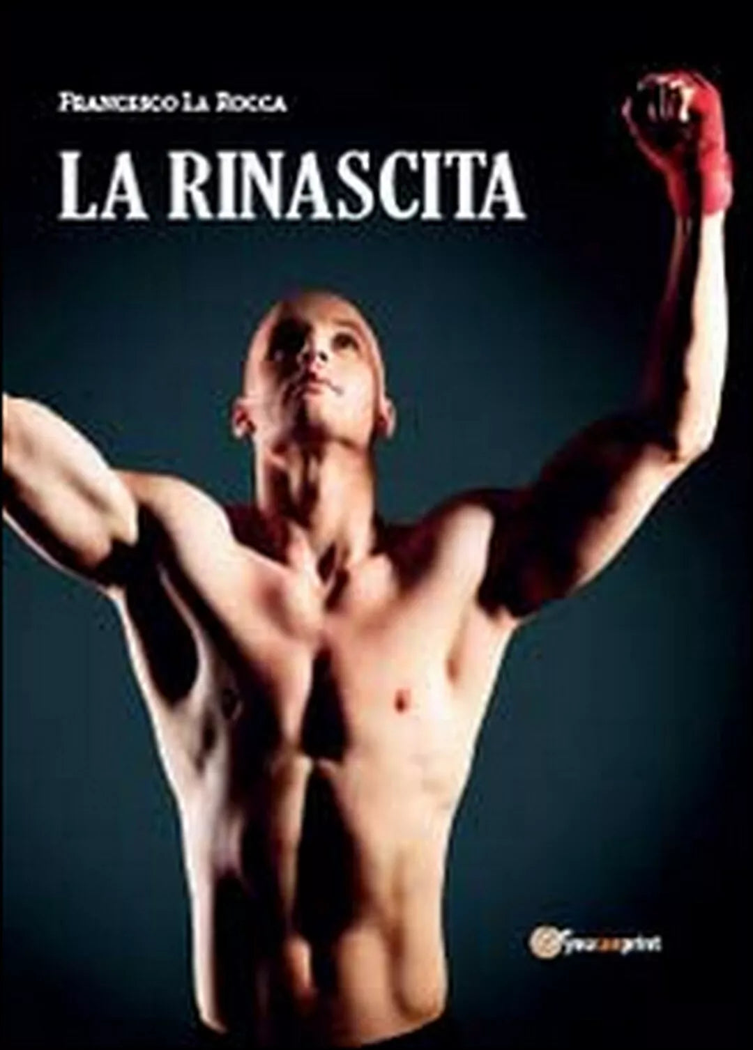 La rinascita di Francesco La Rocca, 2014, Youcanprint