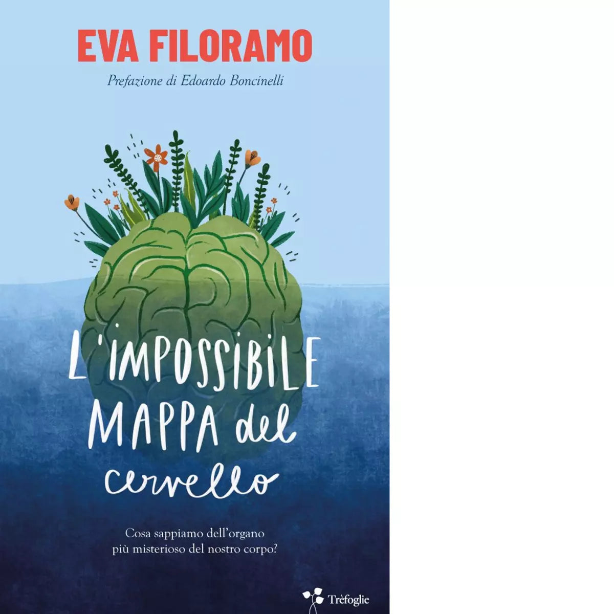 L impossibile mappa del cervello di Eva Filoramo