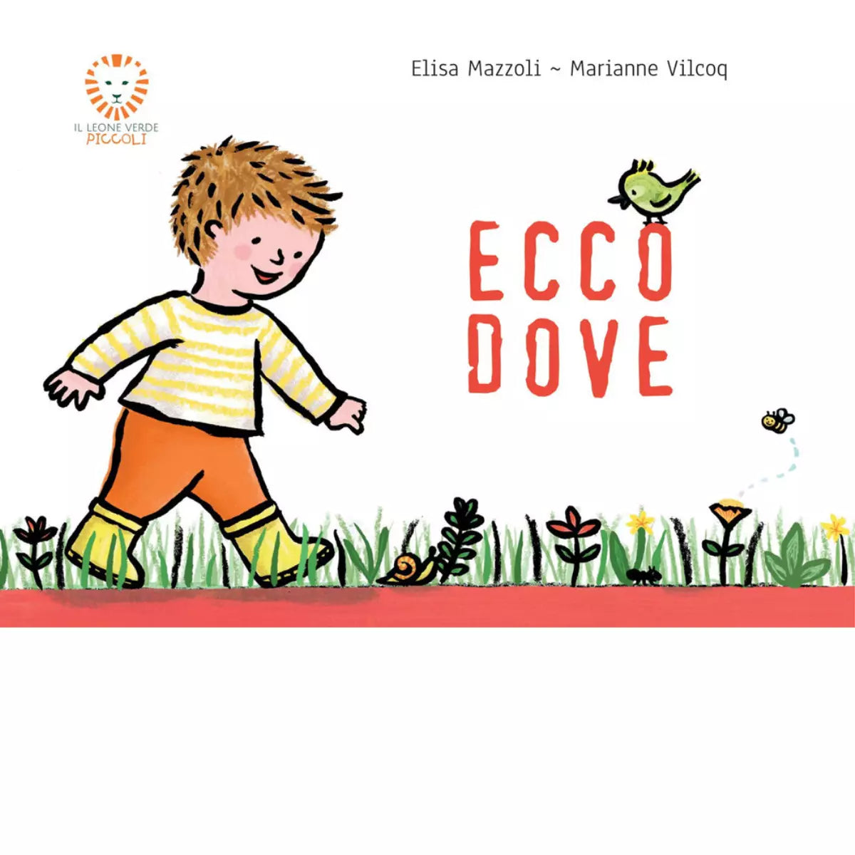 Ecco dove Ediz illustrata di Elisa Mazzoli
