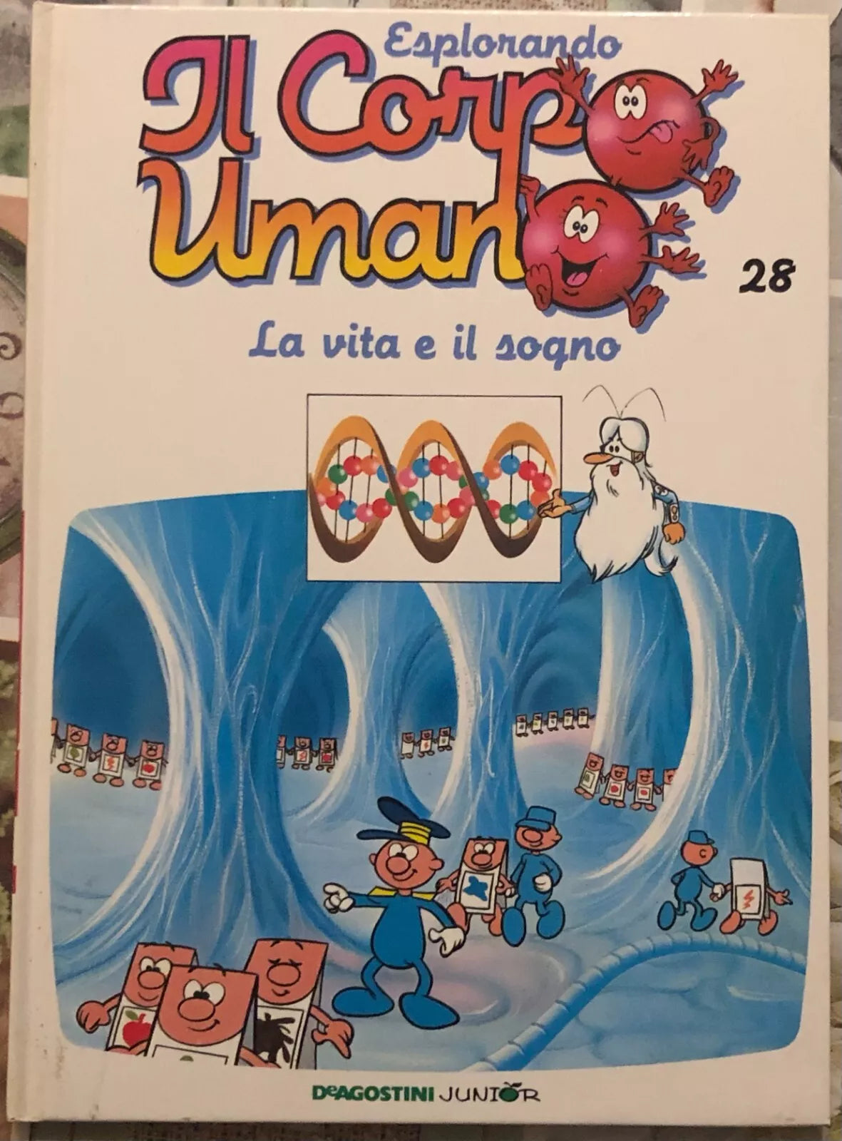 Esplorando il corpo umano n 28