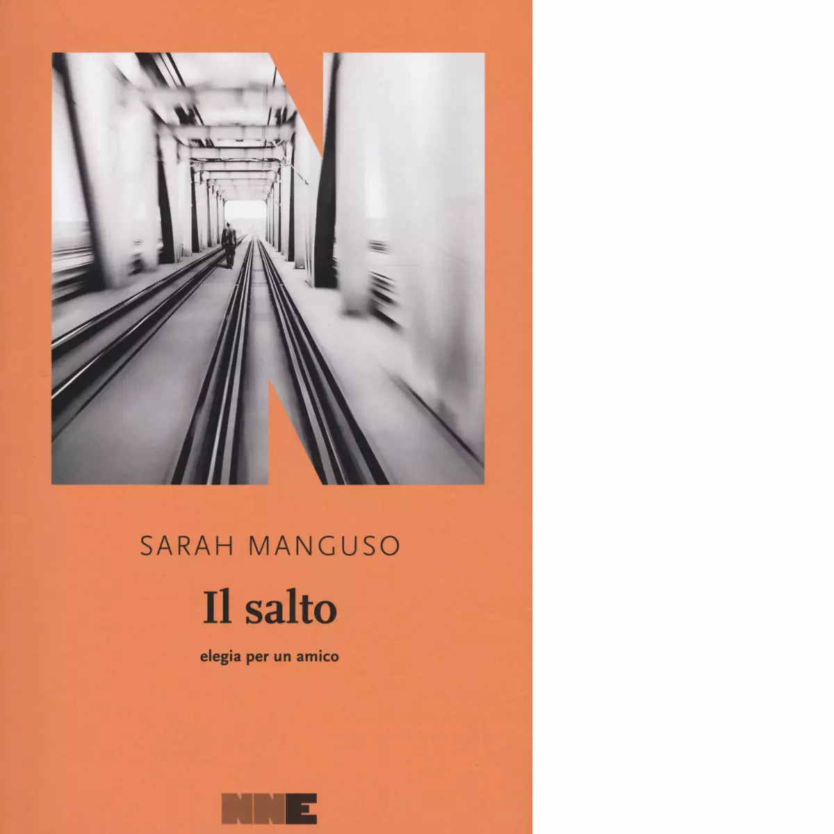 Il salto Elegia per un amico di Sarah Manguso