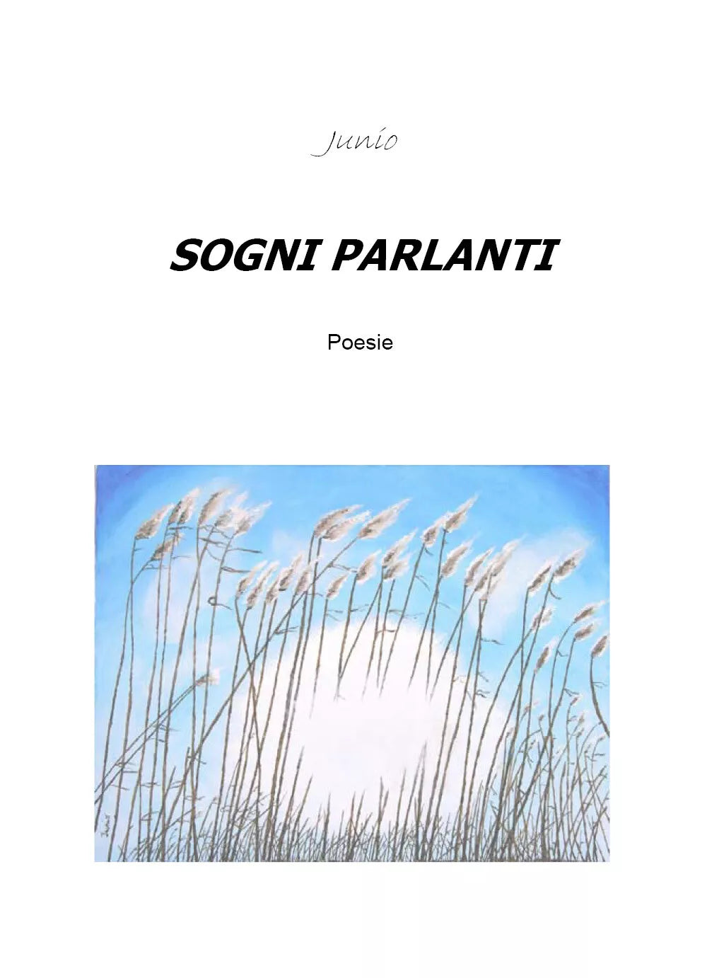 Sogni parlanti di Junio, 2019, Youcanprint