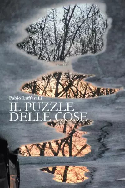 Il puzzle delle cose di Fabio Luffarelli