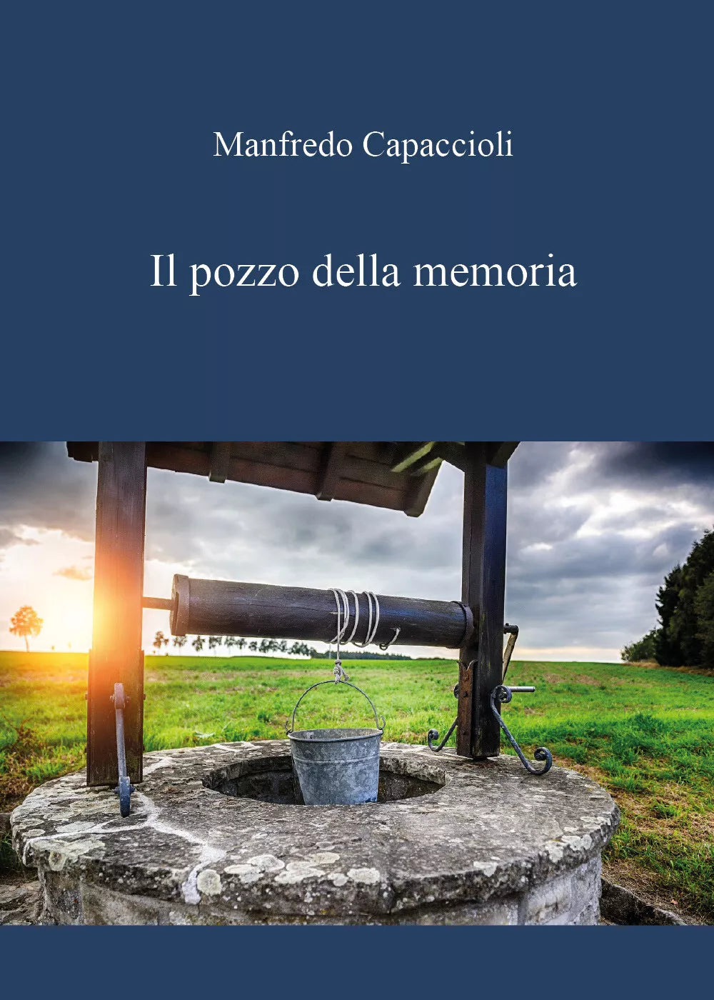 Il pozzo della memoria di Manfredo Capaccioli, 2020, Youcanprint