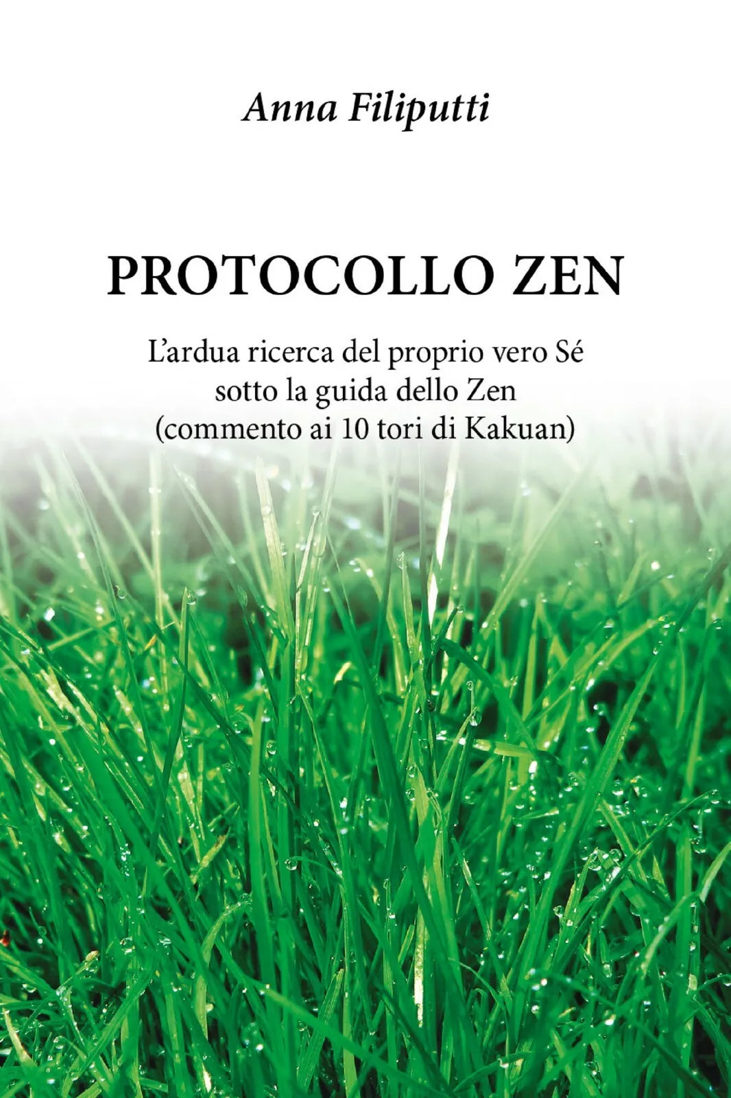 Protocollo zen di Anna Filiputti, 2018, Youcanprint