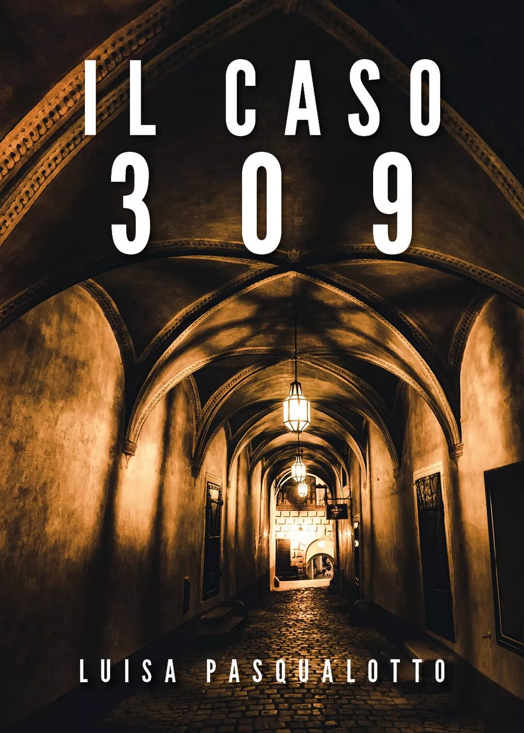 Il caso 309 di Luisa Pasqualotto, 2020, Youcanprint