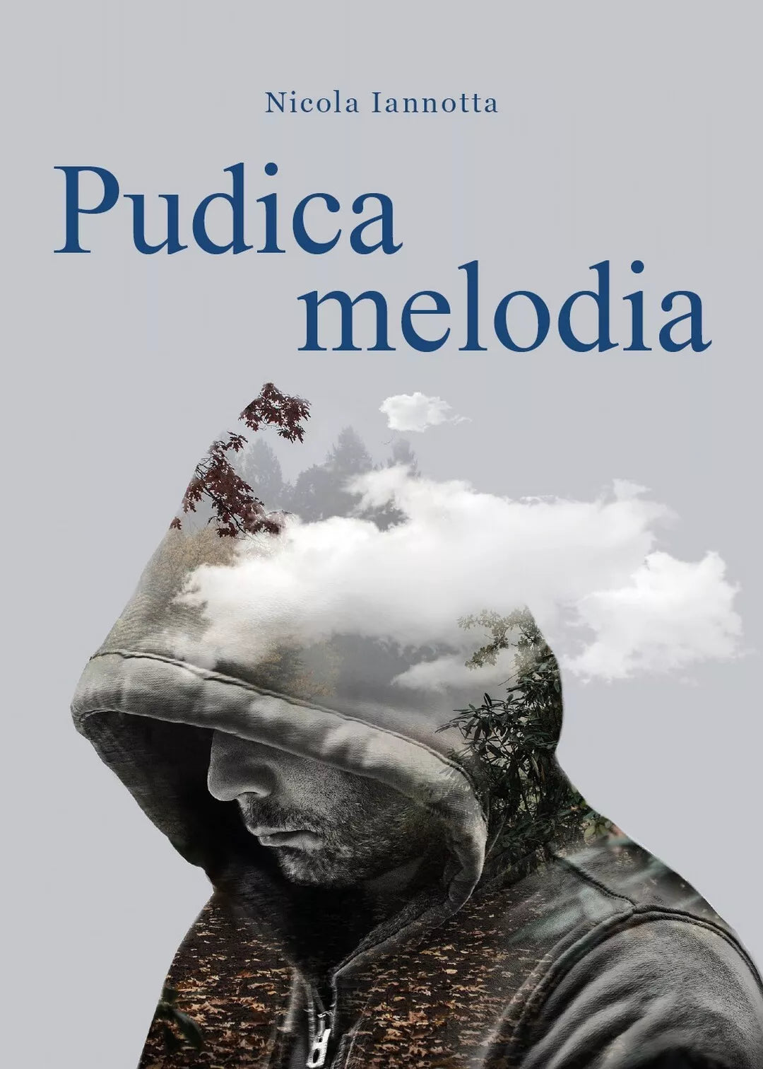 Pudica melodia di Nicola Iannotta, 2020, Youcanprint