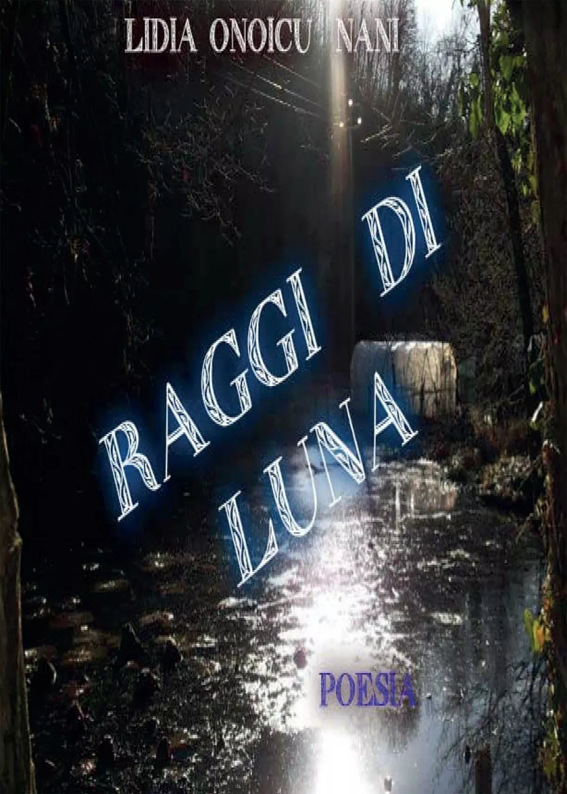 Raggi di luna di Lidia Onoicu Nani, 2014, Youcanprint