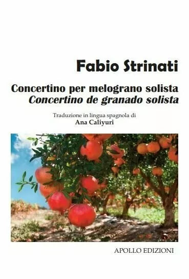 Concertino per melograno solista