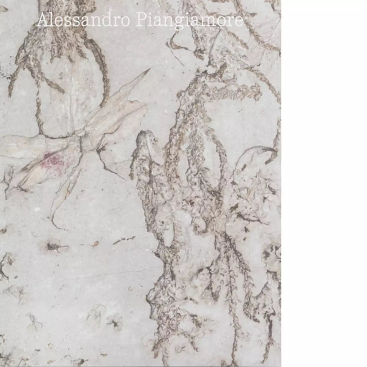 Alessandro Piangiamore Ediz italiana e inglese