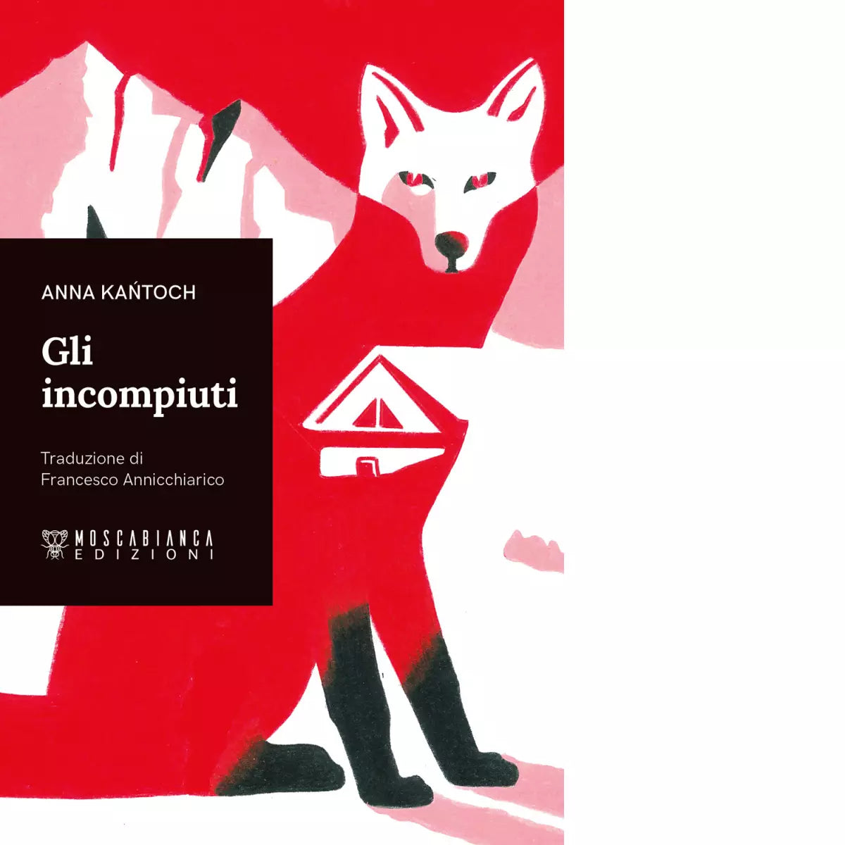 Gli incompiuti di Anna Kantoch