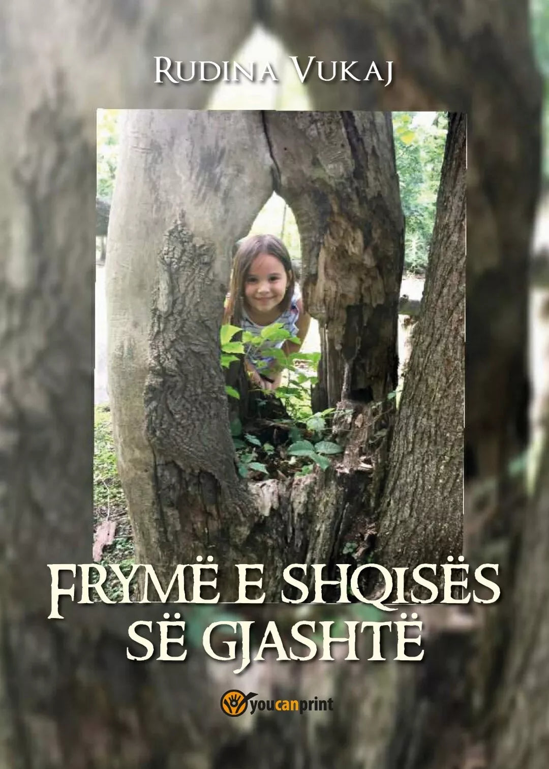 Fryme e shqises se gjashte di Rudina Vukaj, 2018, Youcanprint