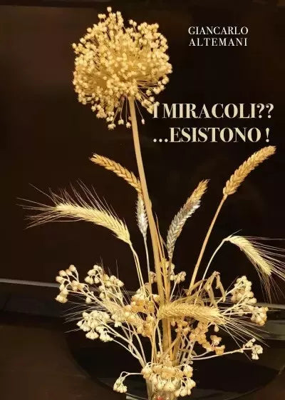 I miracoli Esistono di Giancarlo Altemani