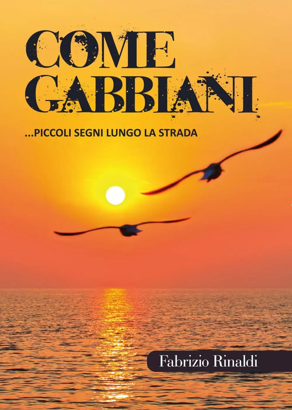 Come gabbiani di Fabrizio Rinaldi, 2017, Youcanprint