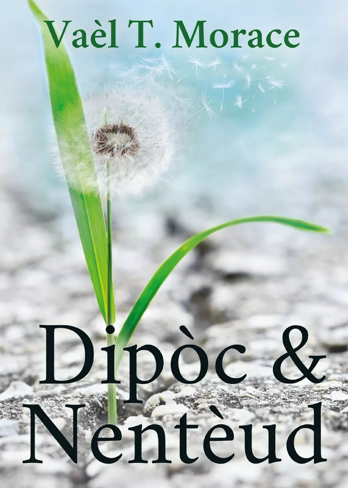 Dipoc & Nenteud di Vael T. Morace, 2021, Youcanprint