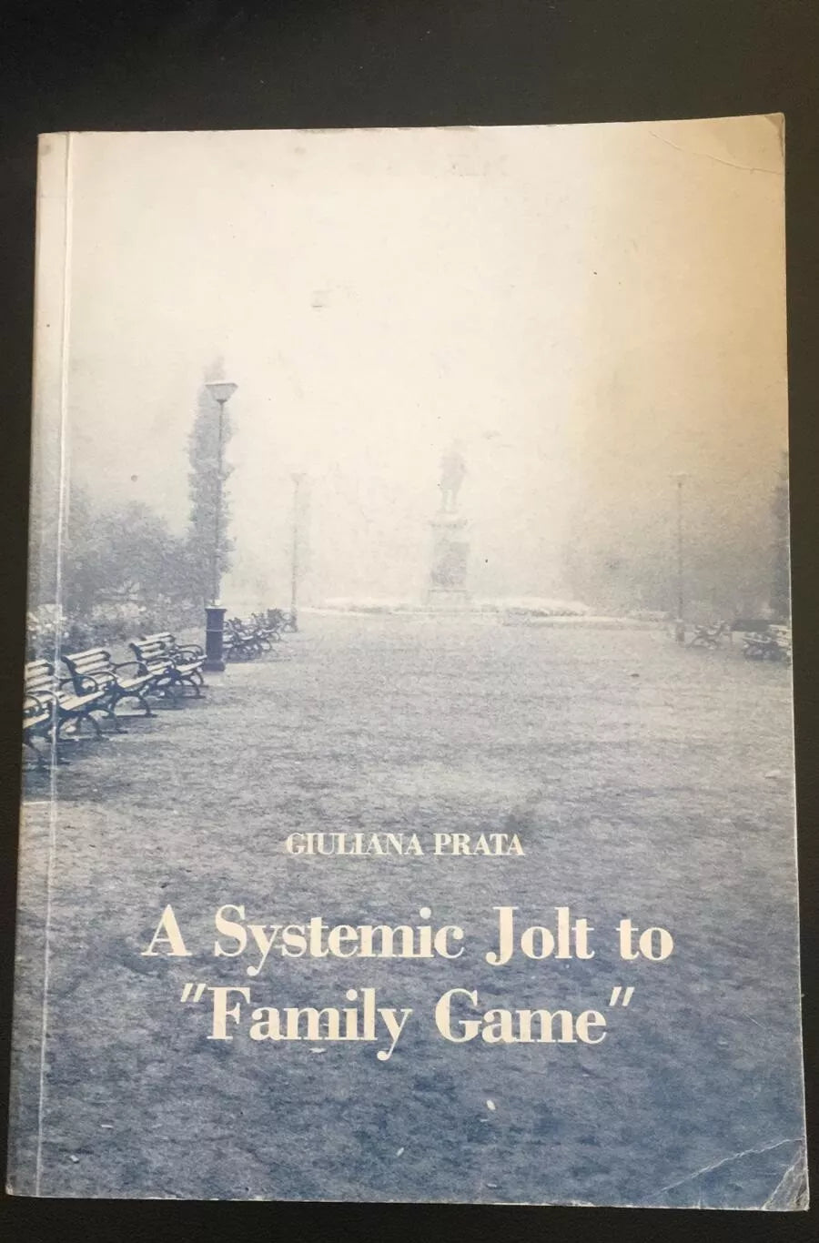 A Systemic Jolt to family Game The New Method - Giuliana Prata, 1988 - P