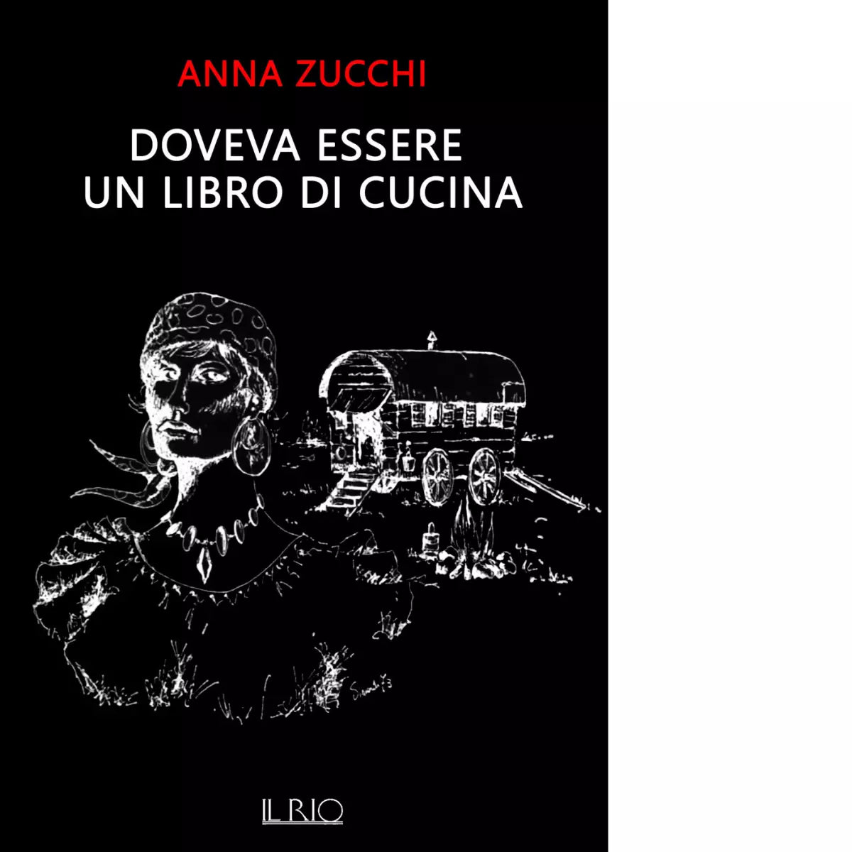 Doveva essere un libro di cucina di Anna Zucchi