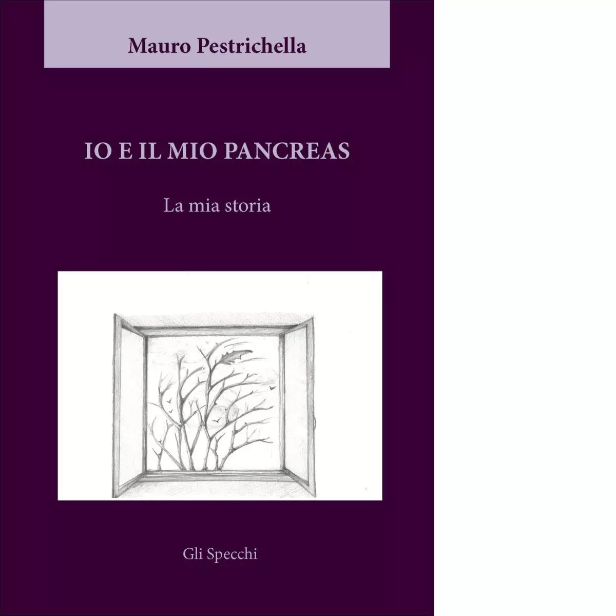 Io e il mio pancreas La mia storia di Pestrichella Mauro