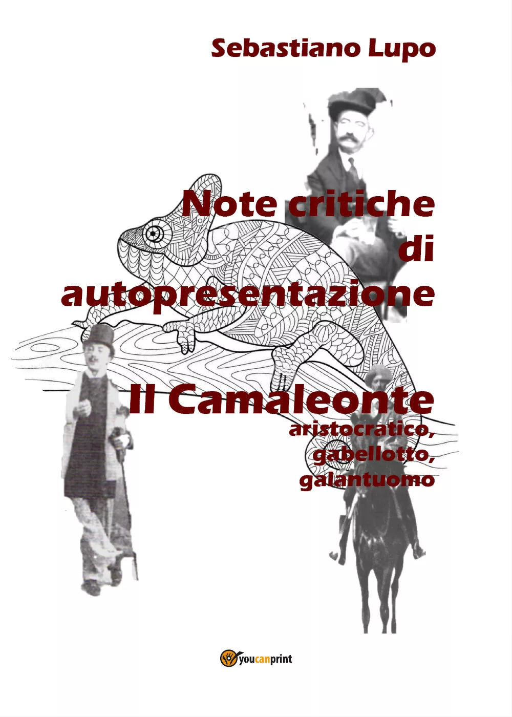 Note critiche di autopresentazione del romanzo Il Camaleonte aristocratico, gabe