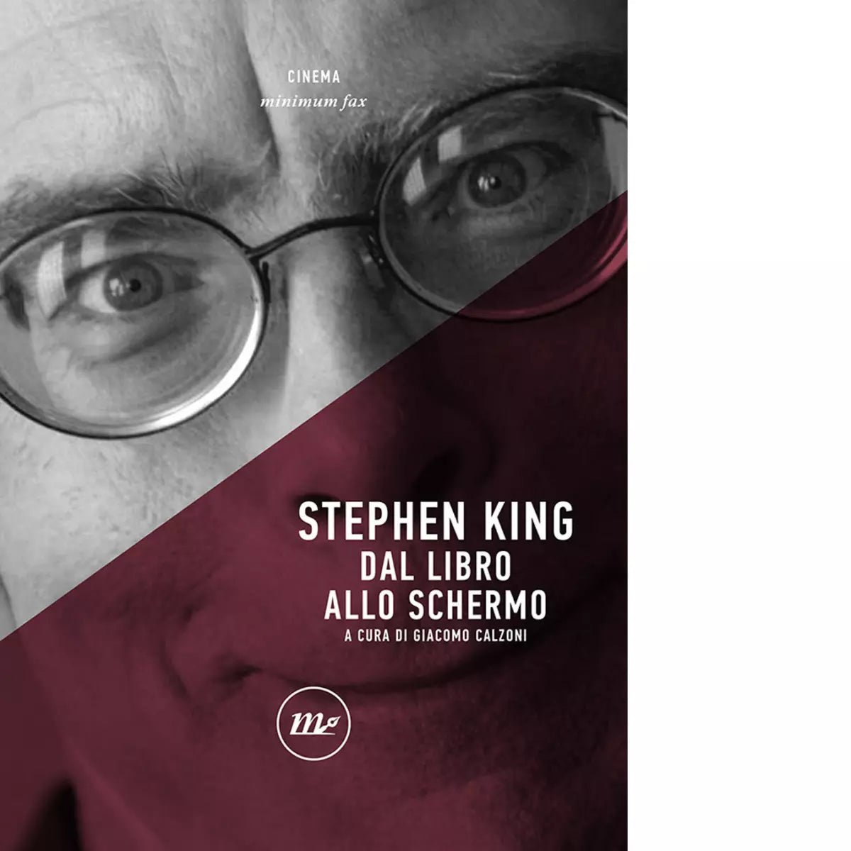 Stephen King Dal libro allo schermo di G Calzoni