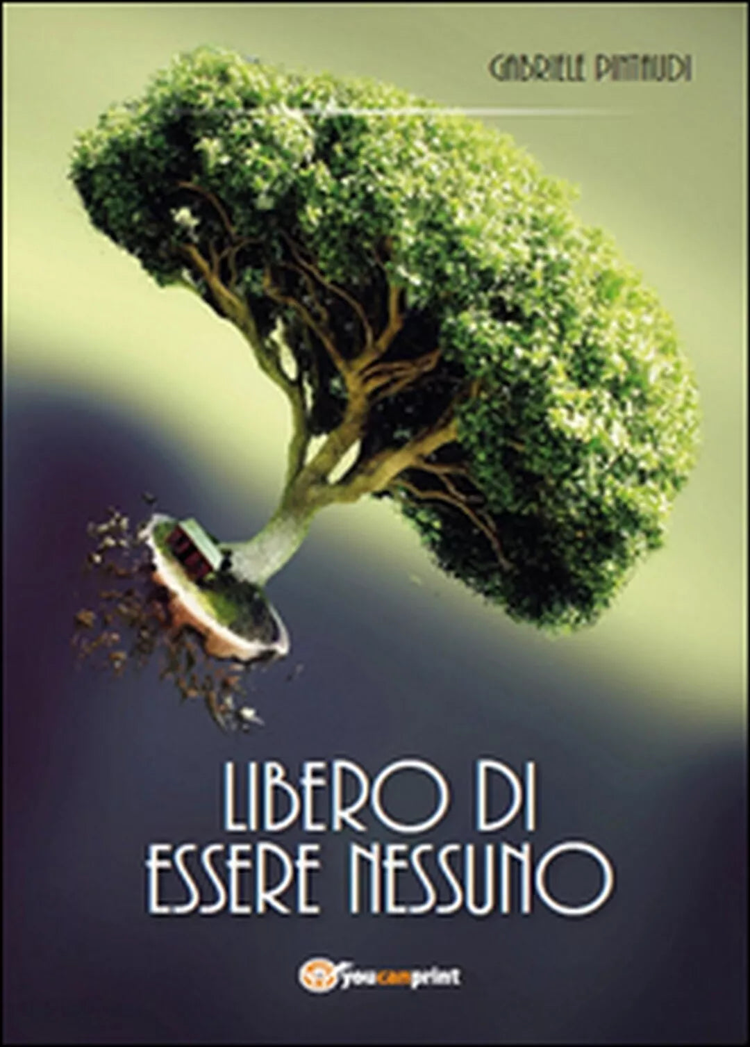 Libero di essere nessuno di Gabriele Pintaudi, 2015, Youcanprint
