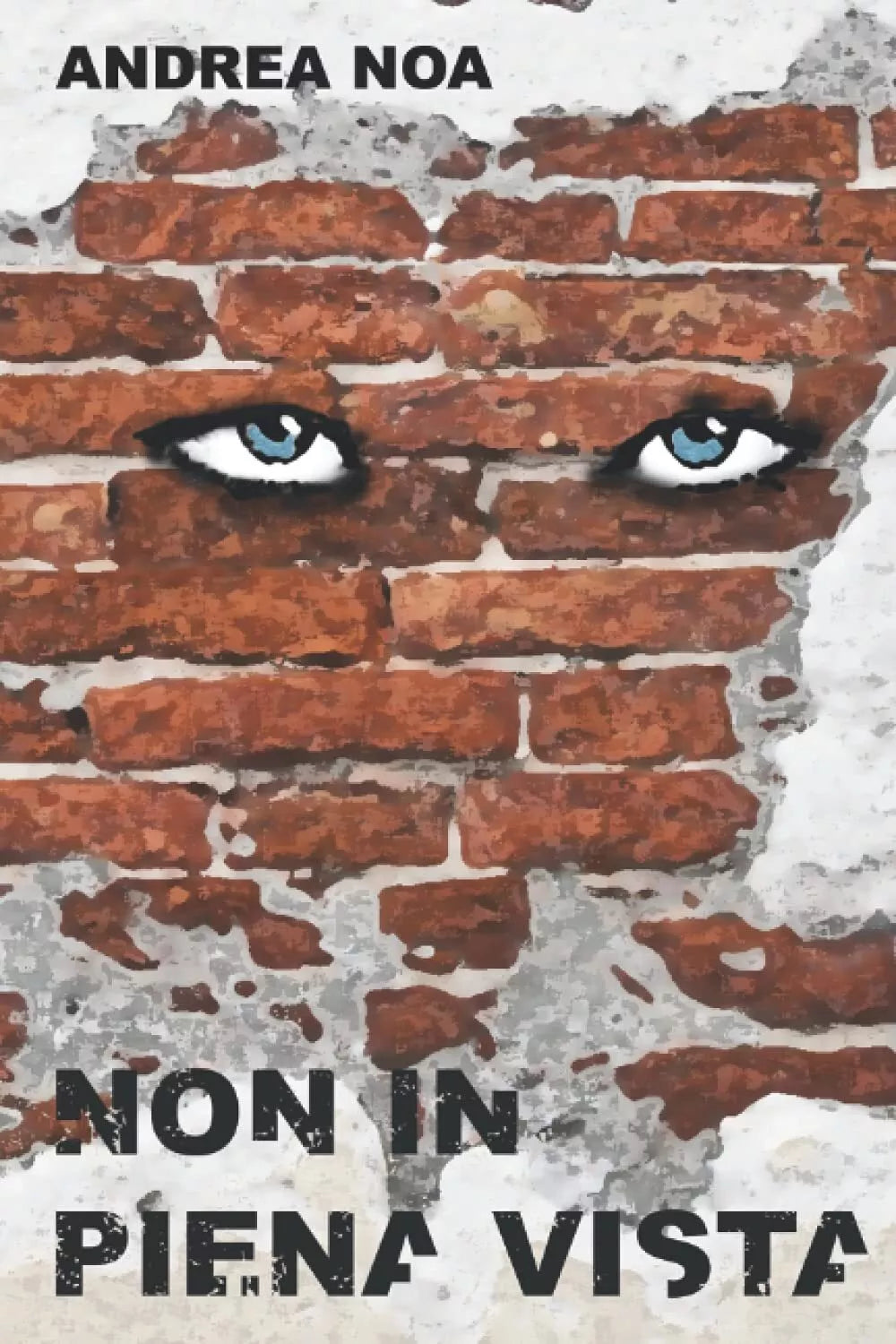 Non in Piena Vista