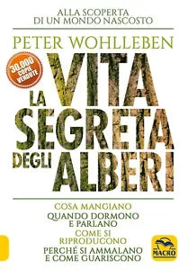 La vita segreta degli alberi Cosa mangiano Quando dormono e parlano Come si r