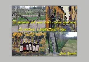 Il percorso del vino delle colline novaresi di Carlo Zanetta