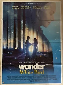 Poster locandina Wonder