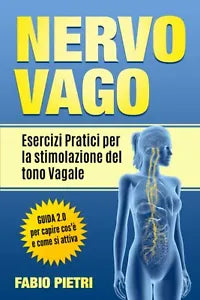 Nervo Vago