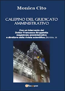 Calepino del giudicato amministrativo di Monica Cito, 2014, Youcanprint